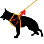 Picture of Ferplast Ergocomfort Köpek Göğüs Taması XLarge Boy Kırmızı