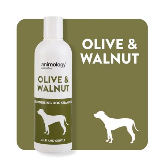 Picture of Animology Essentials Olive & Walnut Shampoo Köpek Şampuanı 250 ML