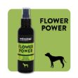 Picture of Animology Flower Power Köpek Parfümü 150 Ml