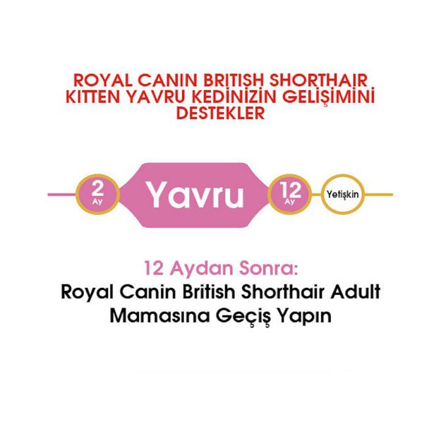 Picture of Royal Canin Kitten British Shorthair Yavru Kedi Maması 2Kg