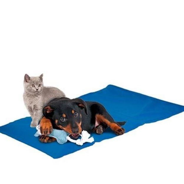 Picture of Nunbell Serinleticili Köpek Yatağı 4XL 75x100 cm