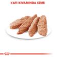 Picture of Royal Canin CCN Exigent Seçici Köpek Konservesi 85 Gr