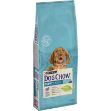 Dog Chow Kuzu Etli Yavru Kuru Köpek Maması 14 Kg resmi