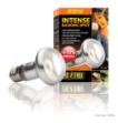 Picture of Exo Terra Intense Basking Spot Sürüngen İçin Lamba 25 watt