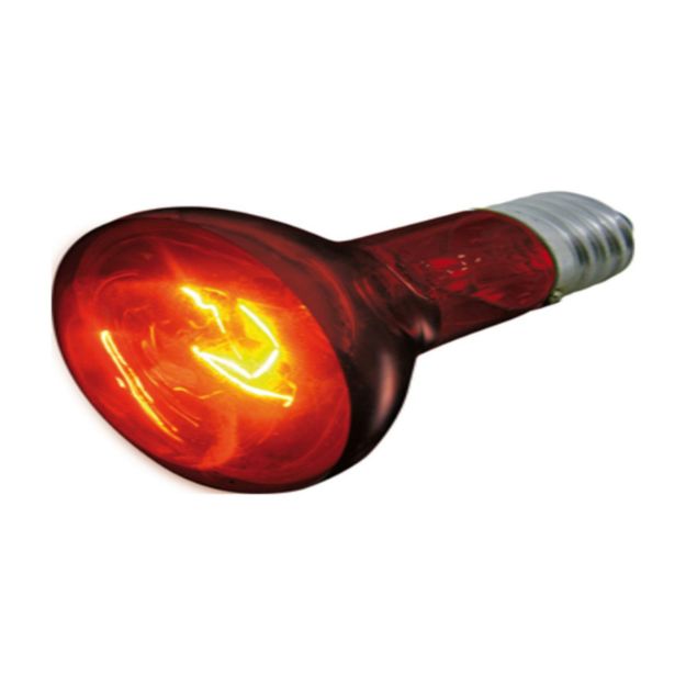Picture of Filamingo Kızıl Ötesi Lamba 100 W