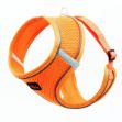 Picture of Natura Air Net Ayarlanabilir Bel Tasması XS Neon Turuncu