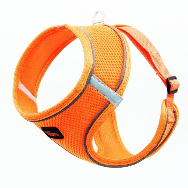 Picture of Natura Air Net Ayarlanabilir Bel Tasması XS Neon Turuncu