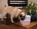Picture of Petsafe Aqua Cube Kedi ve Köpek Su Pınarı 1,2 Lt
