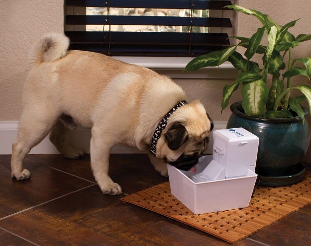 Picture of Petsafe Aqua Cube Kedi ve Köpek Su Pınarı 1,2 Lt