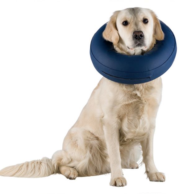 Picture of Trixie Köpek Koruyucu Şişme Yakalık Medium - Large, Mavi