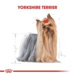 Picture of Royal Canin Yorkshire Köpek Konservesi 85 gr