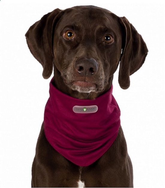 Picture of Trixie Haşere Kovucu Köpek Bandanası Small 