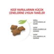 Royal Canin Kitten Sterilised Kısırlaştırılmış Yavru Kedi Maması 2 Kg resmi