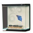 Picture of Marina Beta Seti Zen 3 Lt 700-13411