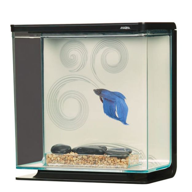 Picture of Marina Beta Seti Zen 3 Lt 700-13411