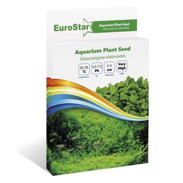 Picture of Eurostar Bitki Tohumu GLOSSOSTIGMA ELATINOIDES