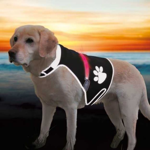 Picture of Trixie Köpek Işıklı Fosforlu Güvenlik Yeleği S Siyah
