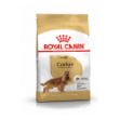 Picture of Royal Canin Cocker Köpek Maması 3Kg