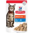 Hills Tender Chunks In Gravy Okyanus Balıklı Kedi Konservesi 85 Gr resmi