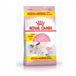 Royal Canin Babycat Yavru Kedi Maması 400+400 gr Bonus Paket resmi