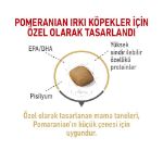 Picture of Royal Canin Pomeranian Yetişkin Köpek Irk Maması 3 Kg