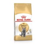 Picture of Royal Canin British Shorthair Kedi Maması 10 kg