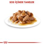 Picture of Royal Canin Mini Ageing Küçük Irk Yaşlı Köpek Pouch Konserve 85 gr