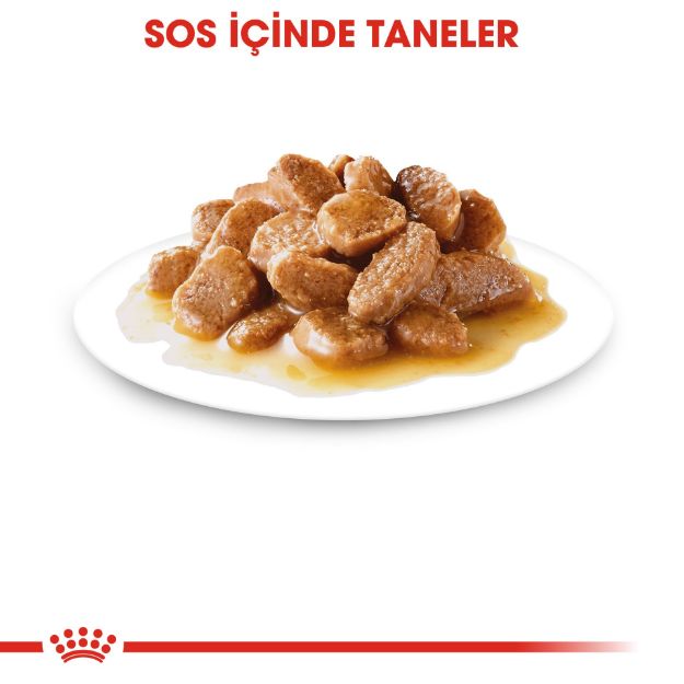 Picture of Royal Canin Mini Ageing Küçük Irk Yaşlı Köpek Pouch Konserve 85 gr