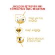 Royal Canin Golden Retriever Köpek Maması 12Kg resmi