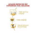 Picture of Royal Canin Golden Retriever Köpek Maması 12Kg