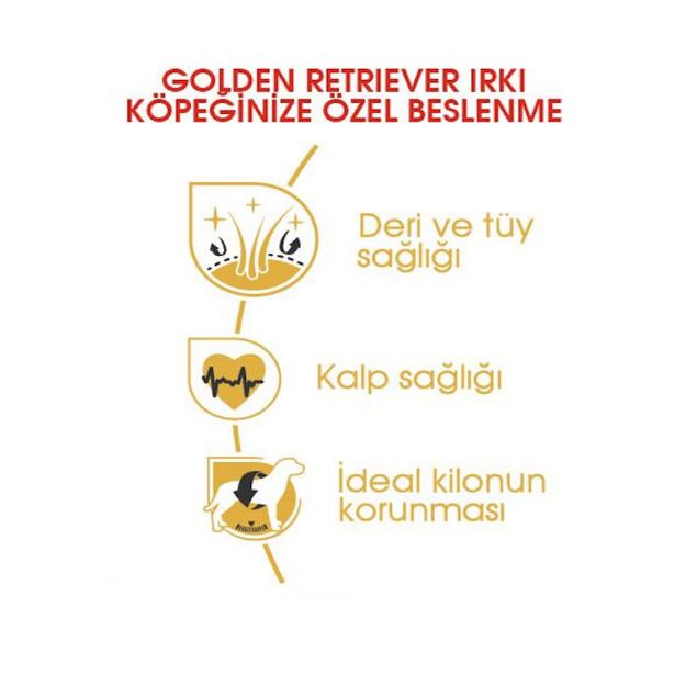 Picture of Royal Canin Golden Retriever Köpek Maması 12Kg