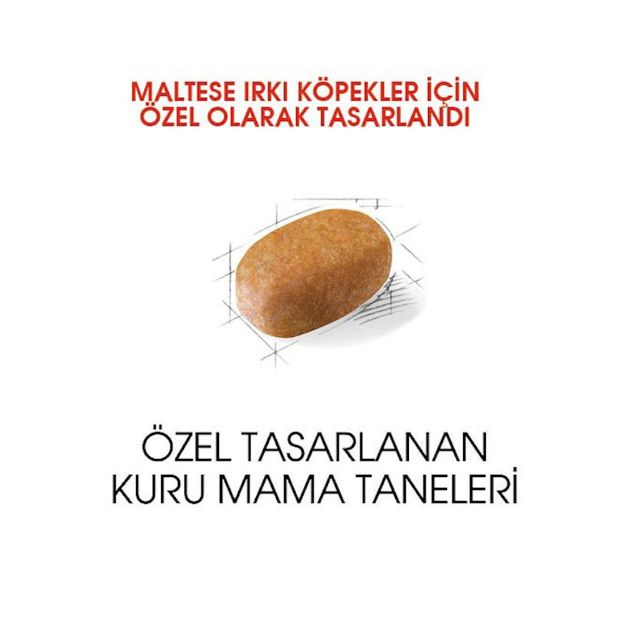 Picture of Royal Canin Maltese Terrier Köpek Maması 1.5Kg