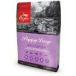 Orijen Puppy Large Tahılsız Büyük Irk Yavru Köpek Maması 11,4 Kg resmi
