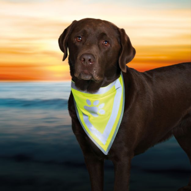 Picture of Trixie Köpek Bandana Small - Medium 29 cm - 42 cm