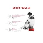 Picture of Royal Canin Babycat Yavru Kedi Maması 4Kg