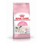 Picture of Royal Canin Babycat Yavru Kedi Maması 4Kg
