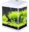 Sobo Komple Akvaryum 24 x 16,5 x 28 cm Beyaz resmi
