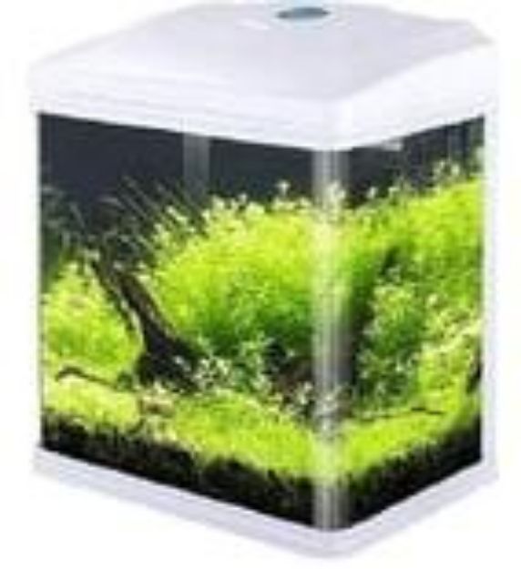 Picture of Sobo Komple Akvaryum 24 x 16,5 x 28 cm Beyaz