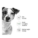 Picture of Royal Canin Mini Adult Yetişkin Köpek Maması 2Kg
