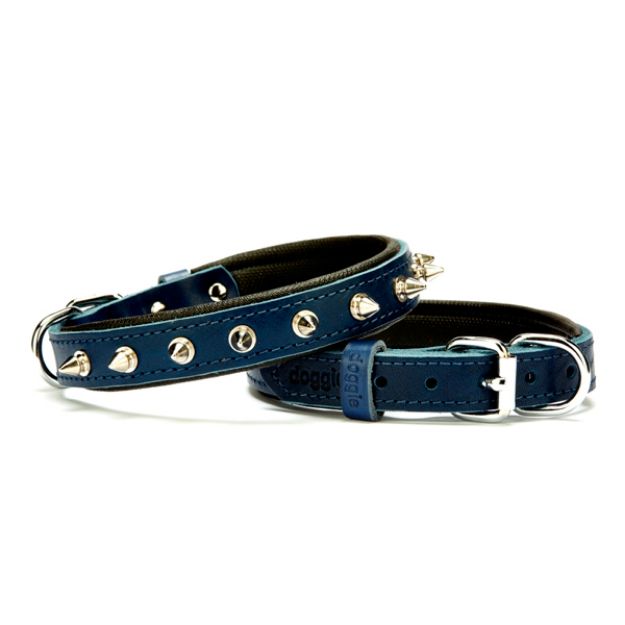Picture of Konfor Deri Çivili Boyun Tasması Royalmavi 2x35-40cm Sbt2012mroyalblue