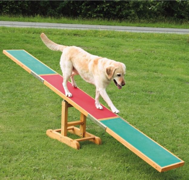 Picture of Trixie Köpek Agility Eğitim Tahterevallisi 300 cm x 54 cm x 34 cm