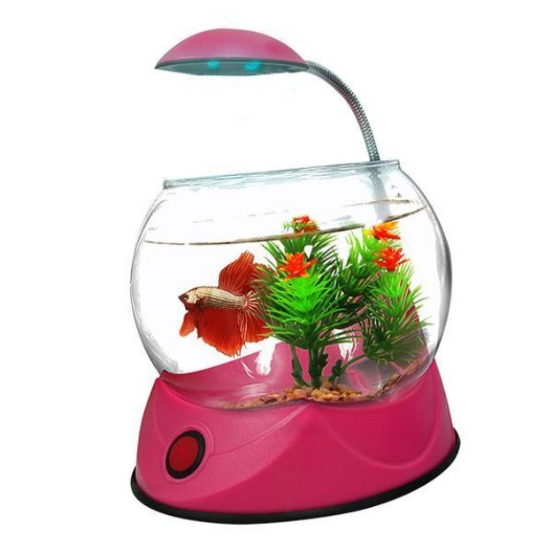 Picture of Hailea V-02S Fanus 1,8 Lt Pembe Led Aydınlatmalı Çakıl ve Süs Hediyeli