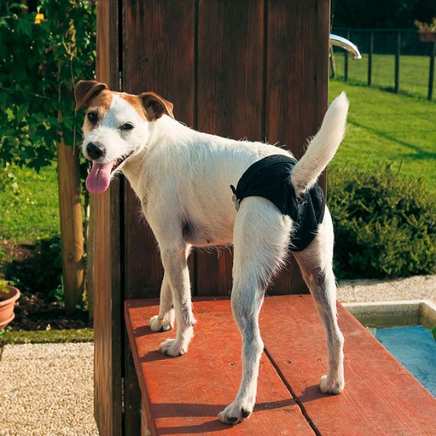 Picture of Ferplast Hijyenik Köpek Kilodu Small