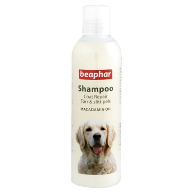 Picture of Beaphar Macedemia Özlü Kıtık Çözücü Köpek Şampuanı 250 ml 18276