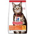 Hills Science Plan Tavuklu Yetişkin Kedi Maması 15Kg resmi