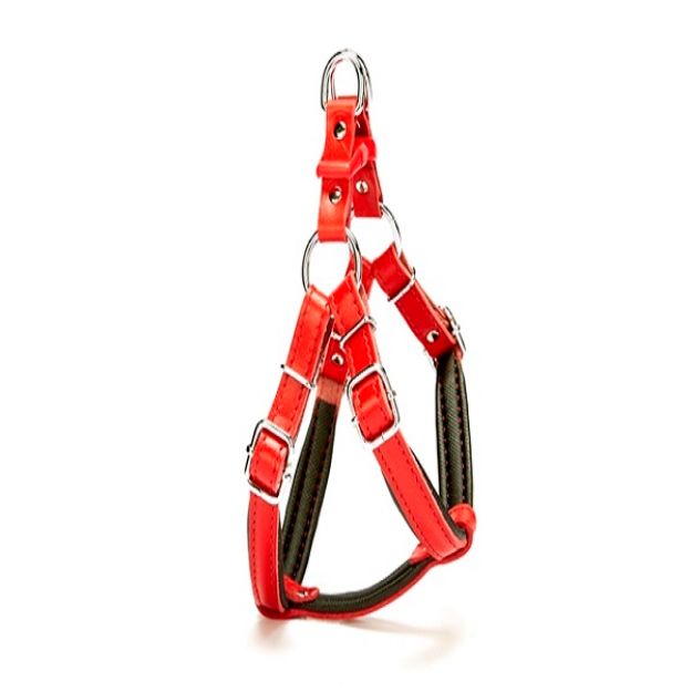 Picture of Doggie Ronin Model Comfort Deri Göğüs Tasması Kırmızı S