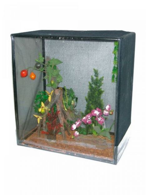 Wave Reptile Domus 80x40x80 cm resmi