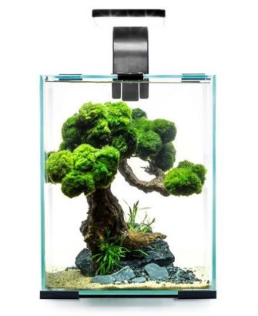Picture of Aquael Shrımp Set Smart D&N 10 Black