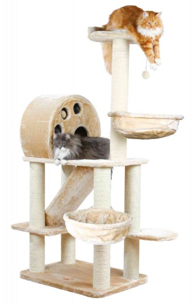 Picture of Trixie Allora Kedi Oyun Evi
