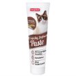 Beaphar Kıtırlı Yoğurtlu Kedi Pastası 100gr resmi